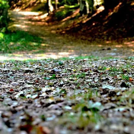 Casa Alice Appartamento *