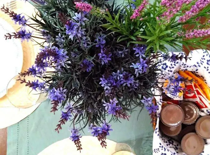 Casa Alice דירה *