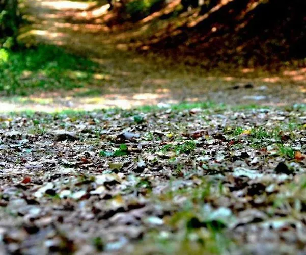 Casa Alice דירה *